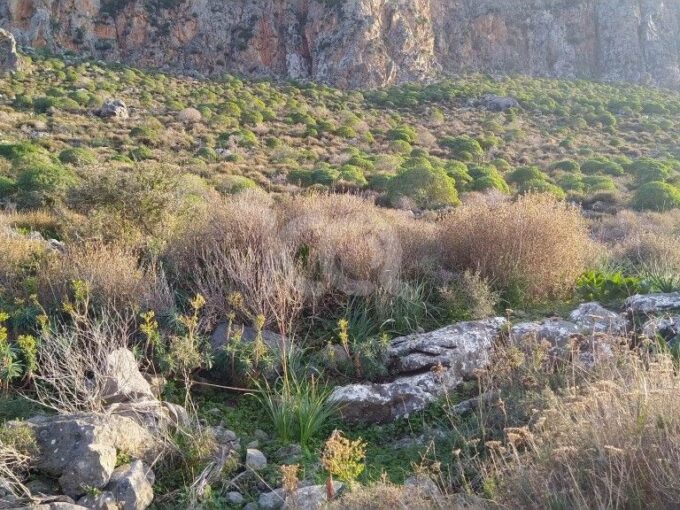 Κάτω Γούβες ,πωλείται έκταση με εμβαδόν 5.669 Τ.Μ.