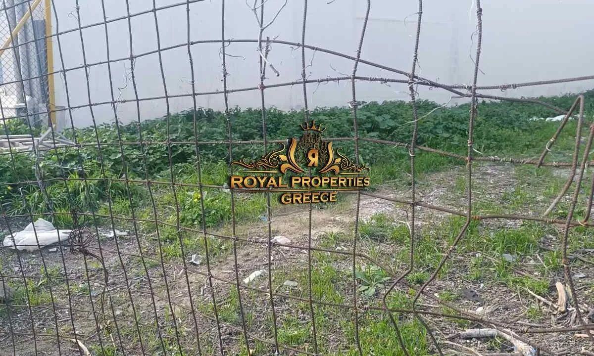 7c23e7ba-8863-43f7-99c4-f21478b76ed6