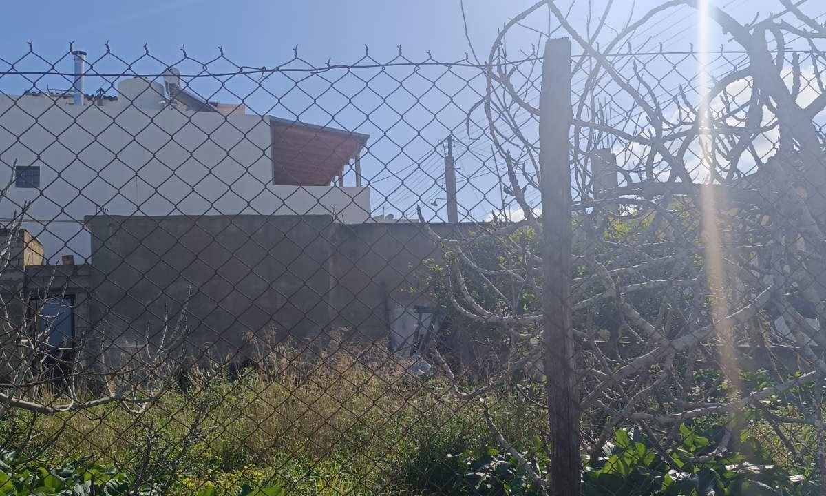 εικόνα_Viber_2026-02-25_11-44-54-283