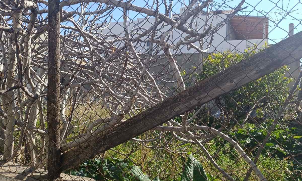 εικόνα_Viber_2026-02-25_11-44-54-462