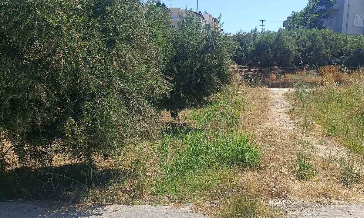 εικόνα_Viber_2026-06-06_11-59-23-454