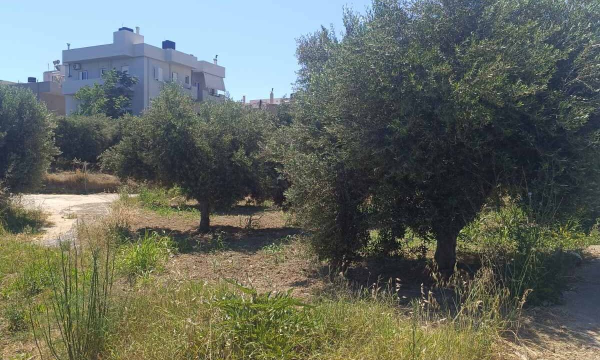 εικόνα_Viber_2026-06-06_11-59-24-042