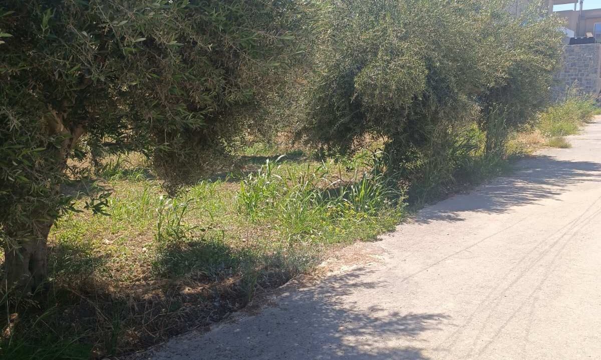 εικόνα_Viber_2026-06-06_11-59-24-470