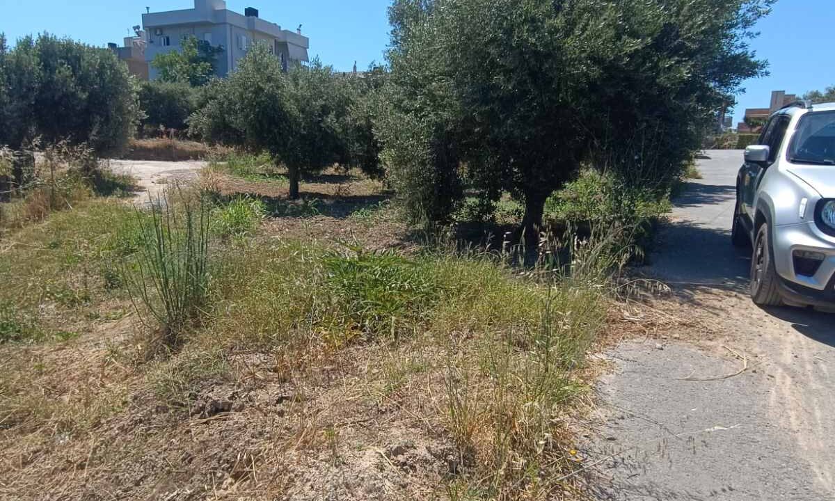 εικόνα_Viber_2026-06-06_11-59-25-831