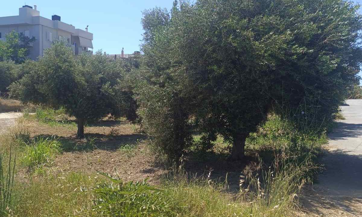 εικόνα_Viber_2026-06-06_11-59-26-002