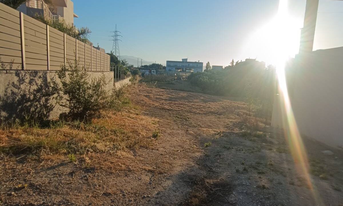εικόνα_Viber_2026-06-06_12-11-16-237
