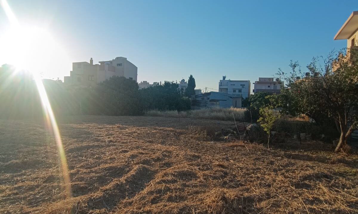 εικόνα_Viber_2026-06-06_12-11-17-074