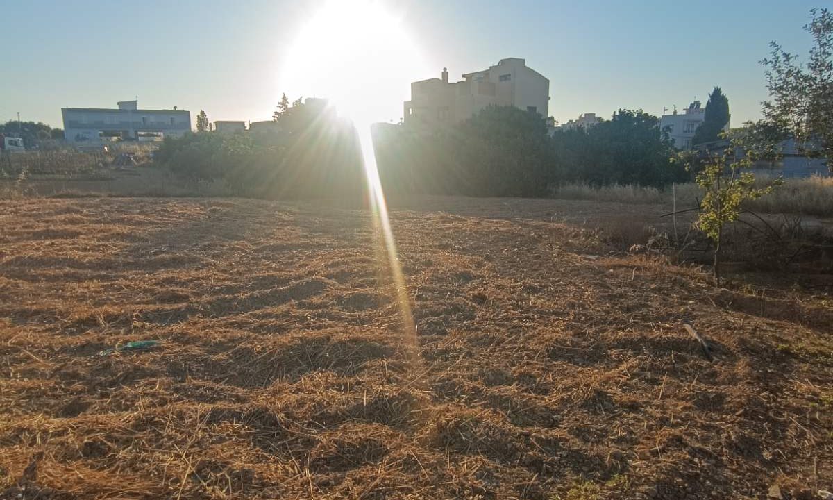 εικόνα_Viber_2026-06-06_12-11-18-804