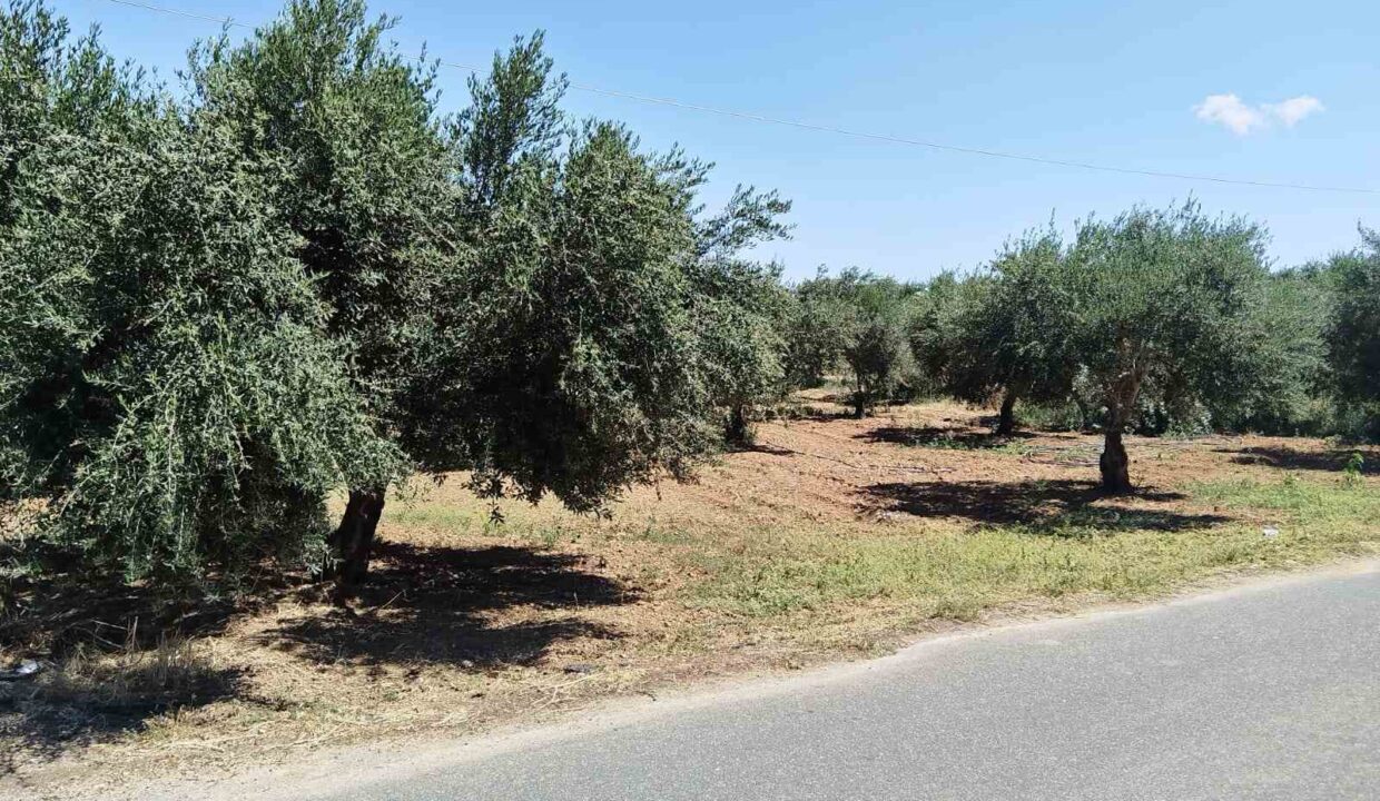 εικόνα_Viber_2026-07-08_15-25-59-295